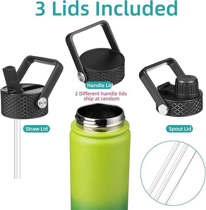 18 oz Insulated Water Bottle Stainless Steel Sport Bottles with 3 Lids,Bamboo Grove-GravixFit