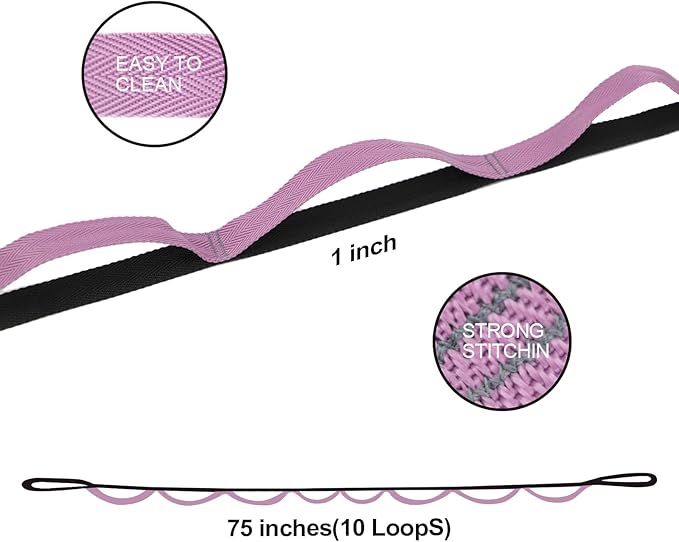 Premium Durable Stretch Straps with Loops, Stretching Strap for Physical Therapy, Multi-Loop Yoga Strap Fitness Exercise Strap for Yoga, Pilates, Dance, Flexibility&Exercise-GravixFit