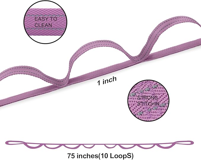 Premium Durable Stretch Straps with Loops, Stretching Strap for Physical Therapy, Multi-Loop Yoga Strap Fitness Exercise Strap for Yoga, Pilates, Dance, Flexibility&Exercise-GravixFit