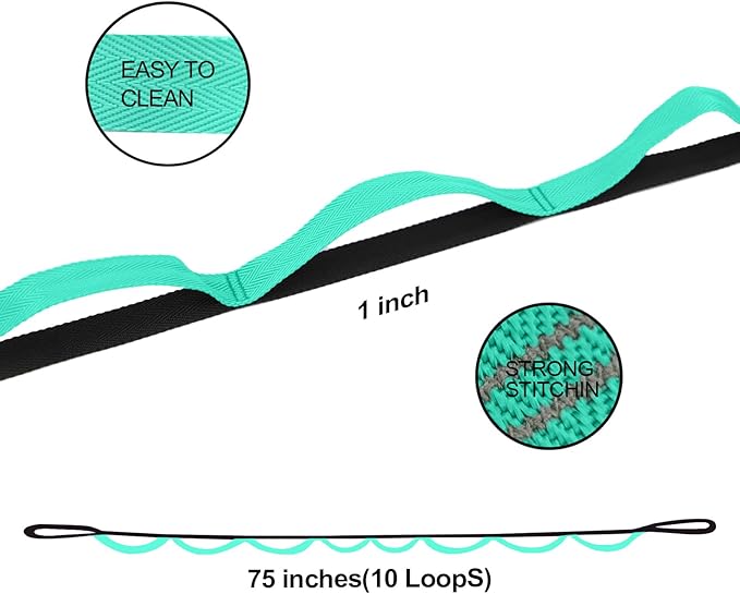 Premium Durable Stretch Straps with Loops, Stretching Strap for Physical Therapy, Multi-Loop Yoga Strap Fitness Exercise Strap for Yoga, Pilates, Dance, Flexibility&Exercise-GravixFit