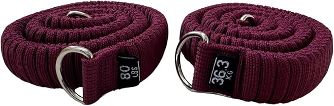 STAERK Pilates Suspension Training System - Premium Resistance Training Kit - At-Home Pilates for Strength & Flexibility - Resistance Bands Set for Home Gym, Travel, and Outdoors-GravixFit