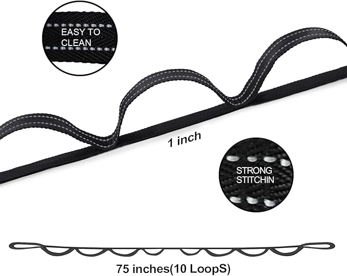 Premium Durable Stretch Straps with Loops, Stretching Strap for Physical Therapy, Multi-Loop Yoga Strap Fitness Exercise Strap for Yoga, Pilates, Dance, Flexibility&Exercise-GravixFit