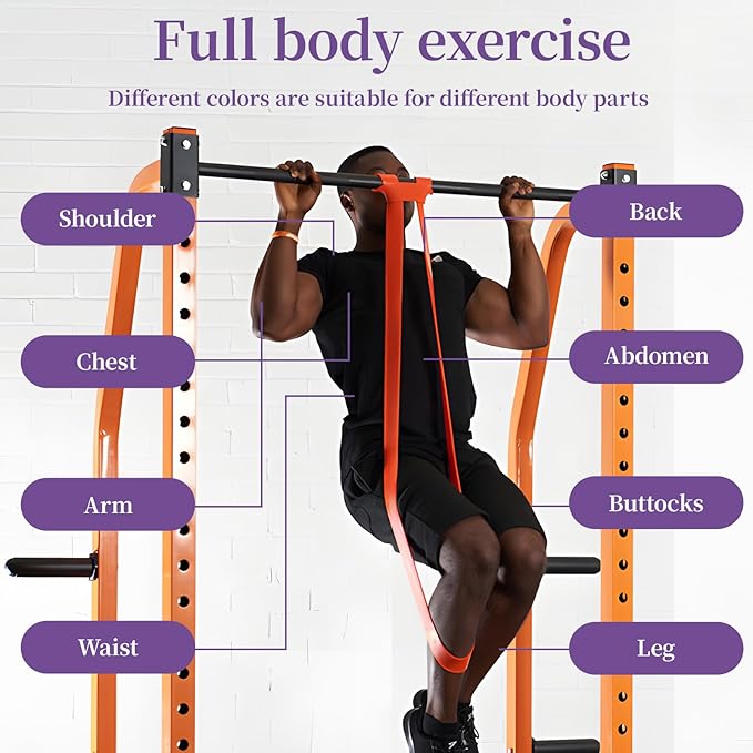 Resistance Bands for Working Out, Pull Up Assistance Bands, Exercise Workout Bands for Men & Women, Gym Bands with Door Anchor & Handle, Stretching Bands for Physical Therapy, Muscle Training-GravixFit