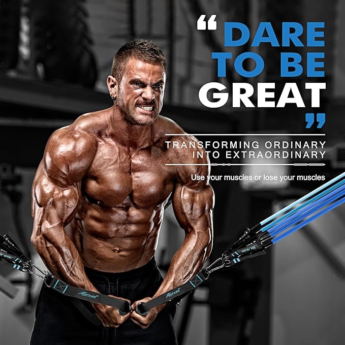 HPYGN Resistance Bands, Exercise Bands with Handles, Fitness Bands, Workout Bands with Door Anchor and Ankle Straps, for Heavy Resistance Training, Physical Therapy, Shape Body, Yoga, Home Workout Set-GravixFit