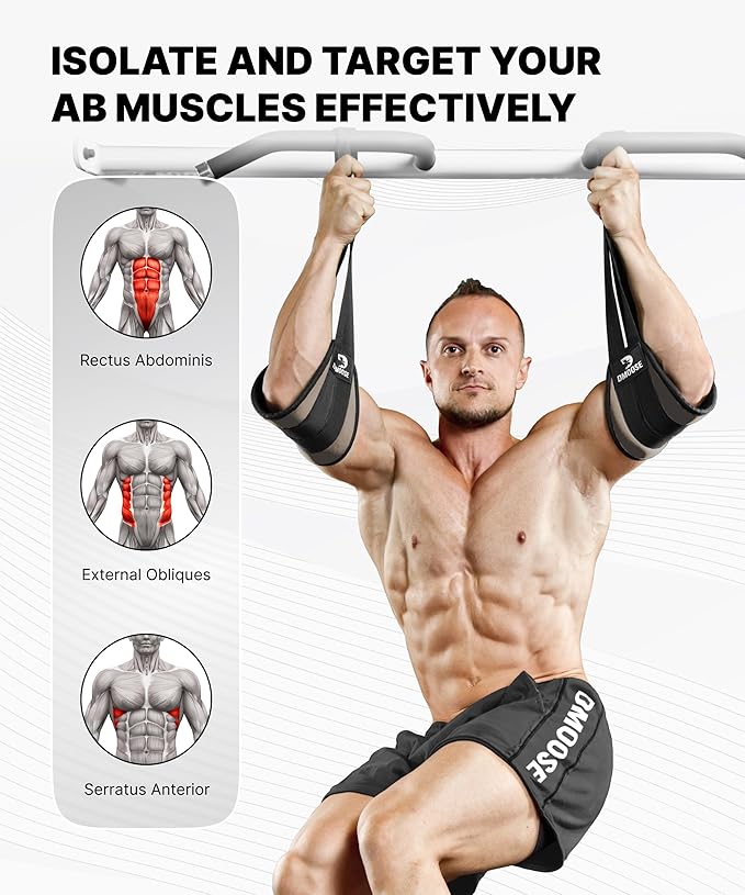 DMoose Fitness Hanging Ab Straps for Pull Up Bar & Core Strength Training - Soft Padded Exercise Straps for Ab Swing & Leg Raises, Hang Bar Strap with 2 Steel Carabiners - Abs Equipment for Home & Gym-GravixFit