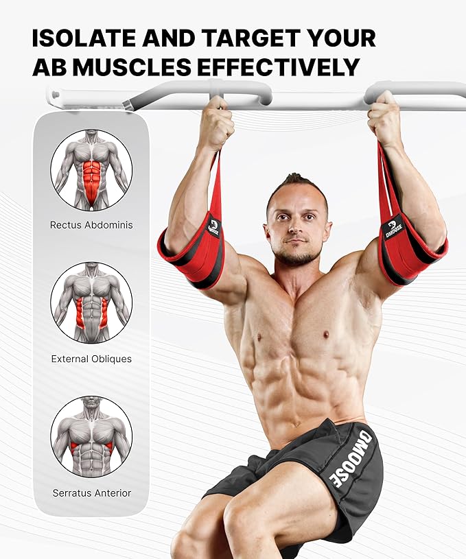 DMoose Fitness Hanging Ab Straps for Pull Up Bar & Core Strength Training - Soft Padded Exercise Straps for Ab Swing & Leg Raises, Hang Bar Strap with 2 Steel Carabiners - Abs Equipment for Home & Gym-GravixFit