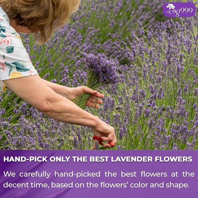120 Lavender Flower Tea Bags, 100% Natural & Pure from Lavender Flowers. Loose Flower Lavender Herbal Tea. Lavender Flower Tea. No Sugar, No Caffeine, No Gluten, Vegan.-GravixFit