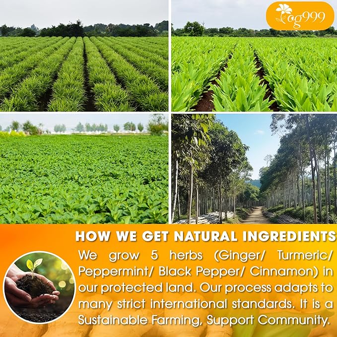 120 Tea Bags - Anti-Inflammaheb Loose Leaf Tea, 100% Natural from Ginger, Turmeric, Peppermint, Black Pepper, Cinnamon. Made with Natural Material Tea Bags. No Sugar, No Caffeine, No Gluten, Vegan.-GravixFit