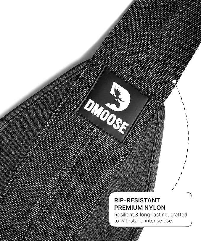 DMoose Fitness Hanging Ab Straps for Pull Up Bar & Core Strength Training - Soft Padded Exercise Straps for Ab Swing & Leg Raises, Hang Bar Strap with 2 Steel Carabiners - Abs Equipment for Home & Gym-GravixFit