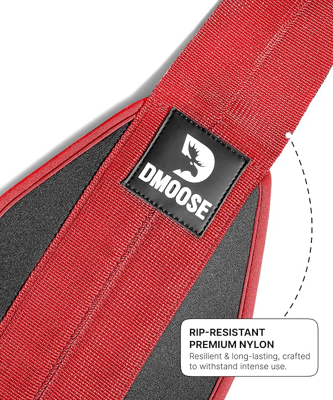 DMoose Fitness Hanging Ab Straps for Pull Up Bar & Core Strength Training - Soft Padded Exercise Straps for Ab Swing & Leg Raises, Hang Bar Strap with 2 Steel Carabiners - Abs Equipment for Home & Gym-GravixFit